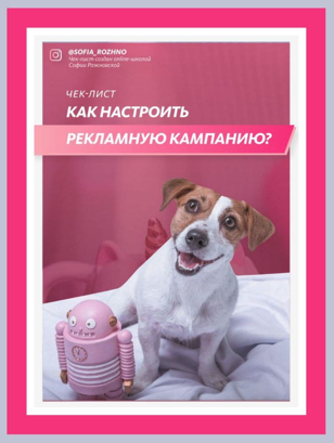 [Софья Рожновская] Инстркция «Как настроить реклам_0.png